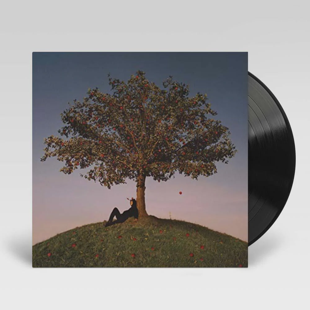 Slowthai - Tyron Vinyl LP