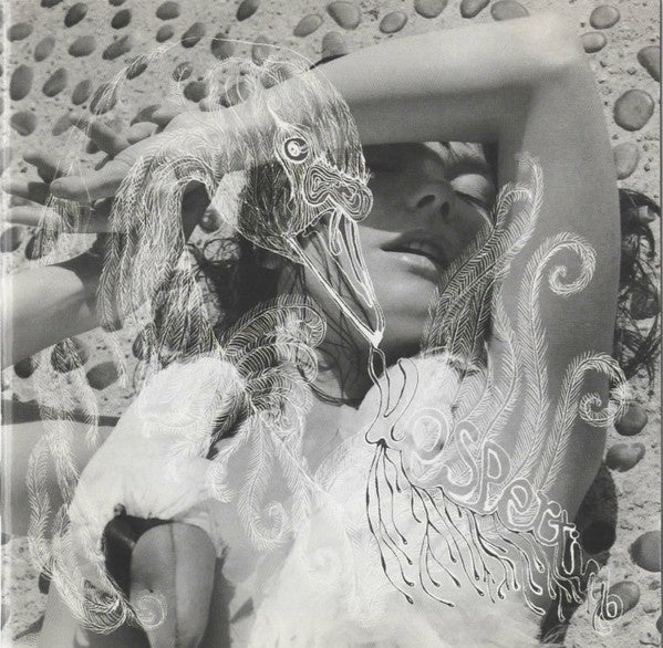 Björk – Vespertine CD