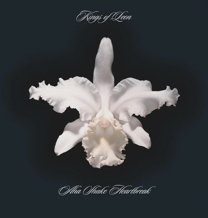 Kings Of Leon - Aha Shake Heartbreak Vinyl 2LP