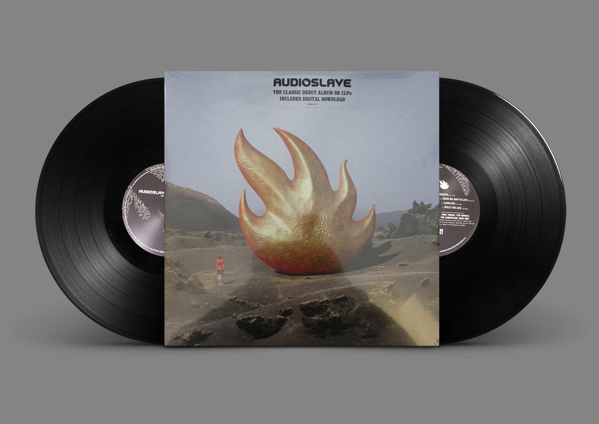 Audioslave – Audioslave Vinyl 2LP