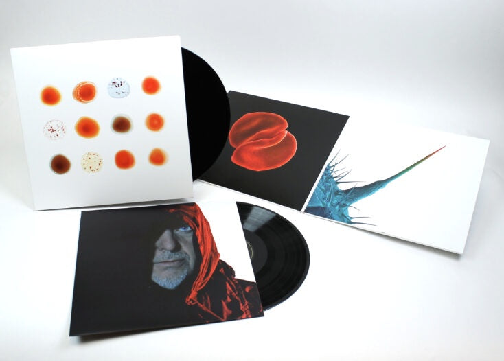 Peter Gabriel - Scratch My Back / & I'll Scratch Yours Vinyl 2LP
