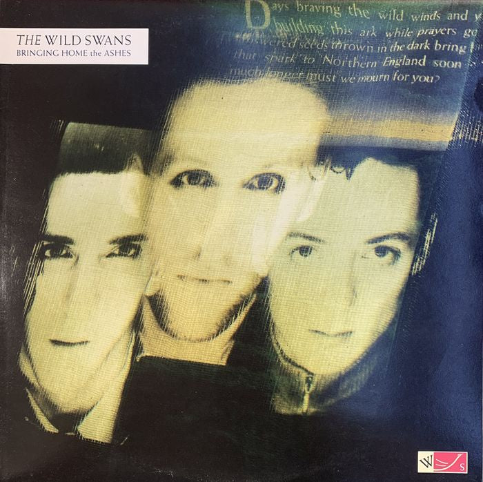 Wild Swans - Bringing Home The Ashes Vinyl LP (Used)