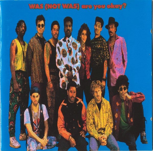 Was (Not Was) - Are You Okay? CD