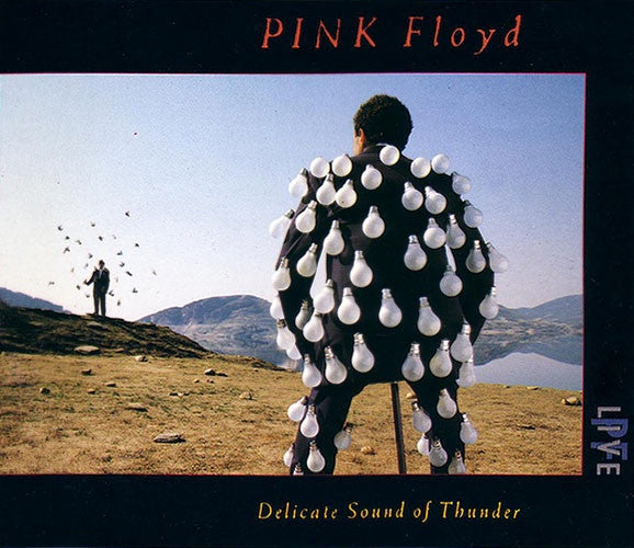 Pink Floyd – Delicate Sound Of Thunder Fatcase 2CD