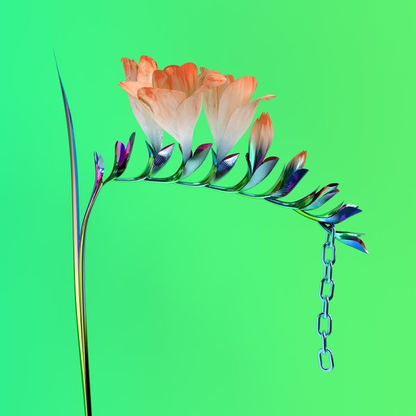 Flume - Skin Companion 1 12" EP Vinyl