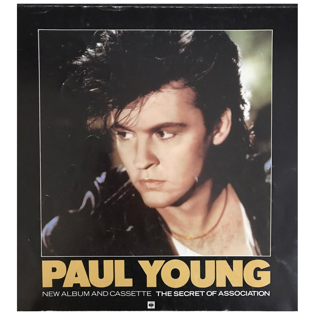 Paul Young - The '9' Go Mad With Davy Crockett World Tour 1985 Original Concert Tour Program
