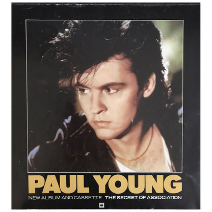 Paul Young - The '9' Go Mad With Davy Crockett World Tour 1985 Original Concert Tour Program