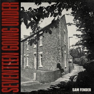 Sam Fender – Seventeen Going Under Vinyl LP (Used)