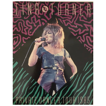 Tina Turner - Private Dancer Tour 1985 Europe & UK Original Concert Tour Program With Ticket