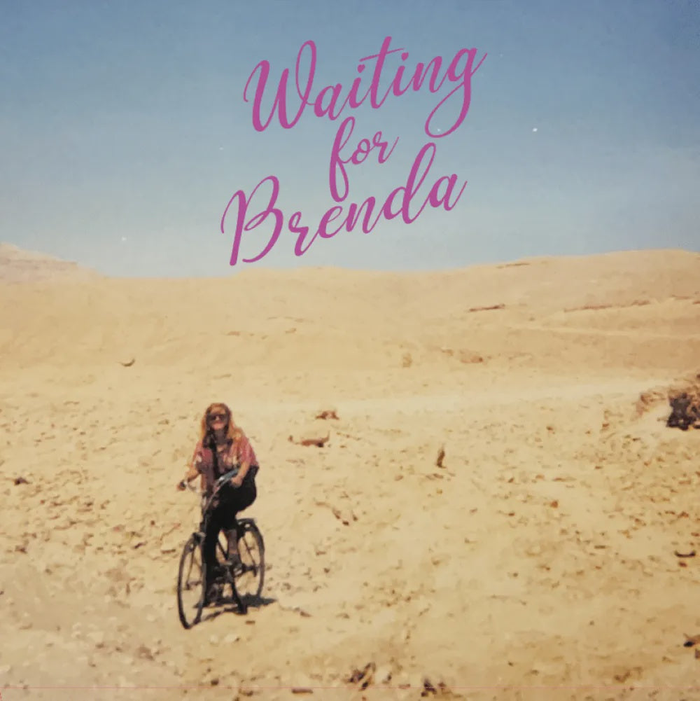 Waiting For Brenda - Friendly Disposition Vinyl LP