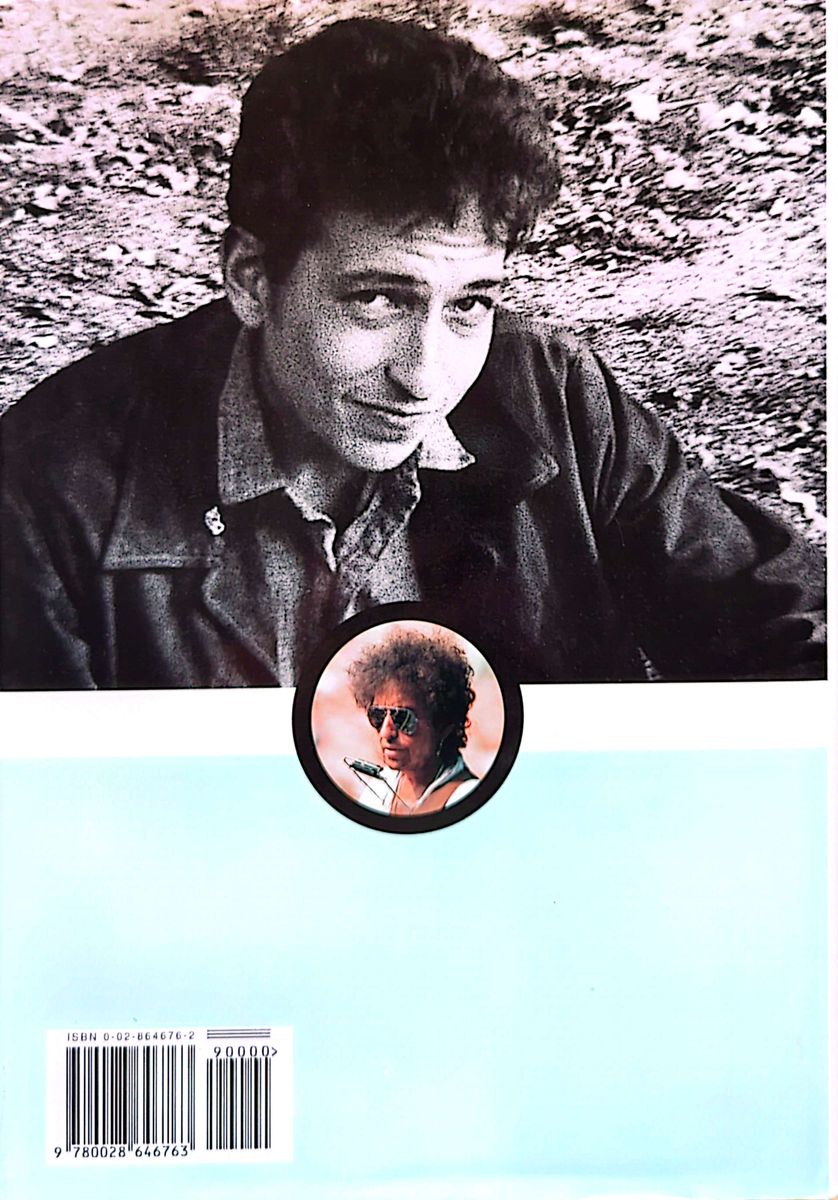 Clinton Heylin - Bob Dylan: A Life In Stolen Moments Day By Day 1941-1995 Hardcover Book (1996)