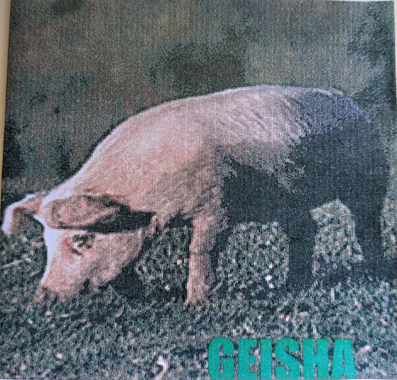 Geisha - Geisha (Autographed/Signed) CD CDR