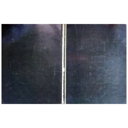 Jonathan Cott & David Dalton - Beatles Get Back Softcover Book (1969)